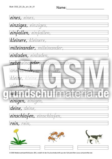 DSS_2S_Bu_ein_Nr_01.pdf